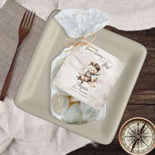 Aeroplane Teddy Bear Special Delivery Baby Shower Favour Tags