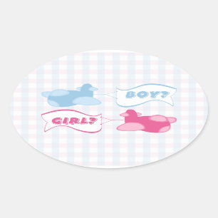 Aeroplanes and Banners Gingham Gender Reveal Party Oval Sticker