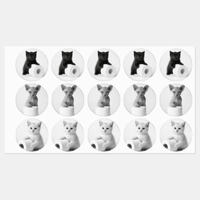 Aesthetic Curious Cats Exploring Toilet Paper (Sheet)