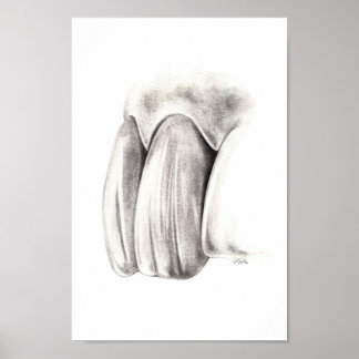 Aesthetic Dentistry Poster