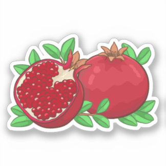 Aesthetic Pomegranate Artwork