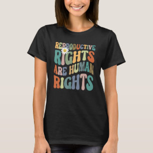 Aesthetic Reproductive Rights Are Human Rights Fem T-Shirt