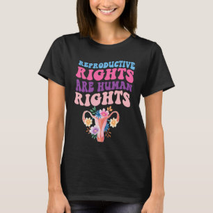 Aesthetic Reproductive Rights Are Human Rights Fem T-Shirt