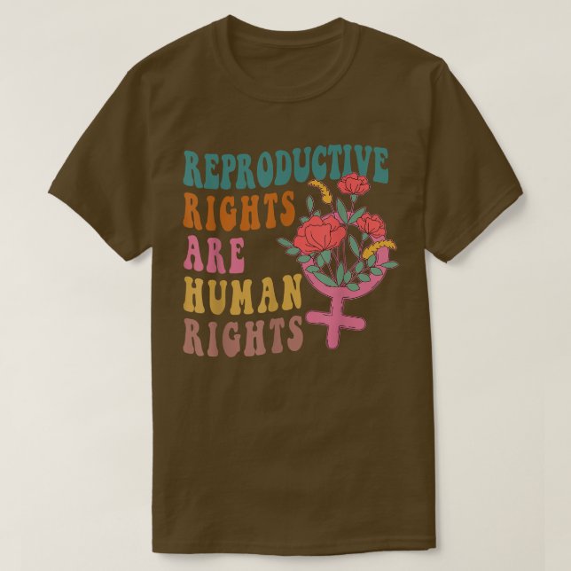 Aesthetic Reproductive Rights Are Human Rights Fem T-Shirt (Design Front)
