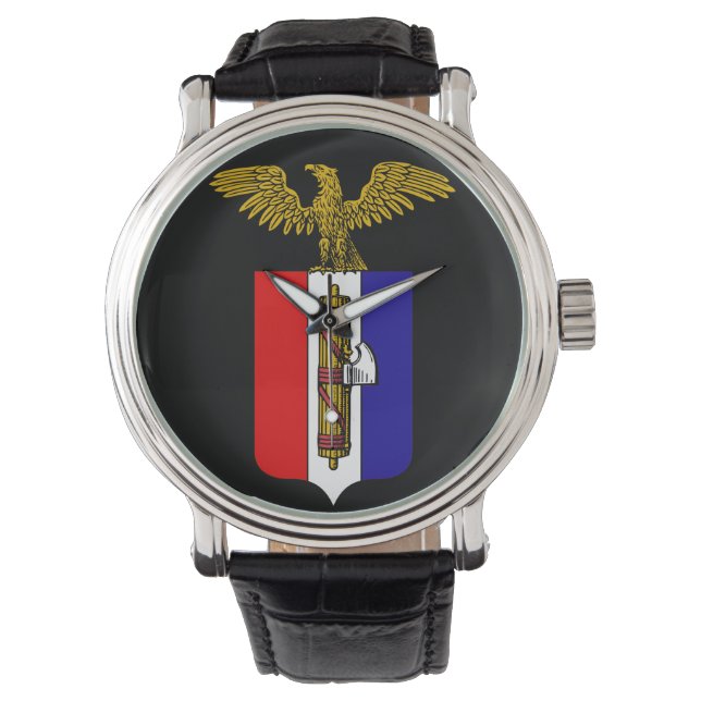 AfA:Alternative for America Watch (Front)