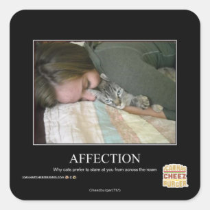 Affection Square Sticker