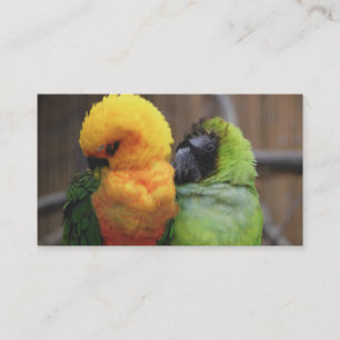 Affectionate Birds Business Card