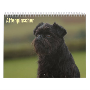 Affenpinscher 2027 Calendar