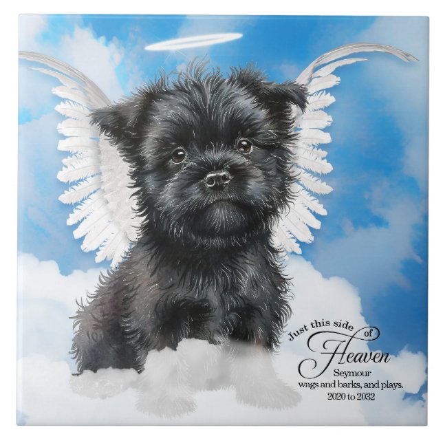 Affenpinscher Angel Dog Personalised Pet Memorial Tile (Front)