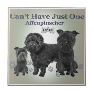 Affenpinscher Can't Have Just One Tiles