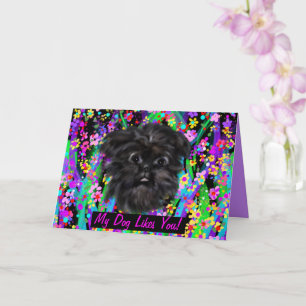 AFFENPINSCHER CARD