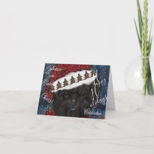 Affenpinscher card