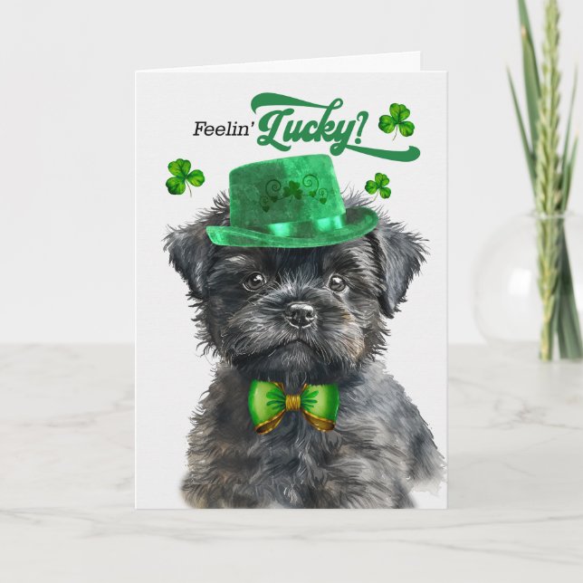 Affenpinscher Dog Feelin' Lucky St Patrick's Day Holiday Card (Front)