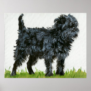 Affenpinscher Dog Portrait Poster