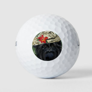 Affenpinscher Hawaii Golf Balls