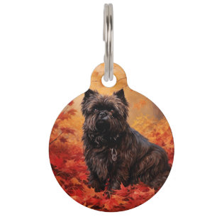 Affenpinscher in Autumn Leaves Fall Inspired Pet Tag