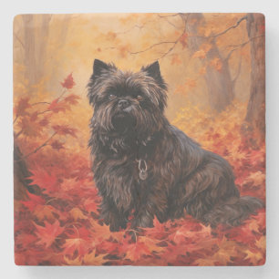 Affenpinscher in Autumn Leaves Fall Inspired Stone Coaster