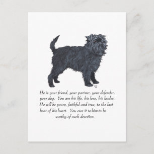 Affenpinscher Keepsake Postcard