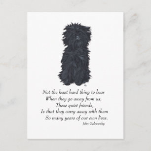 Affenpinscher Keepsake Postcard