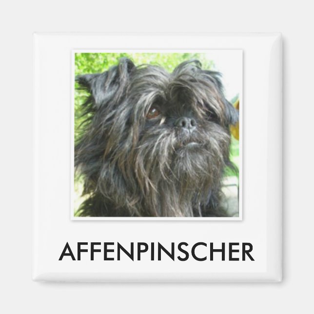 Affenpinscher Magnet (Front)