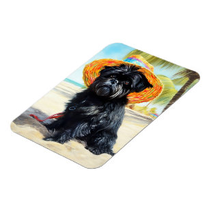 Affenpinscher on Beach, summer gift for dog lovers Magnet