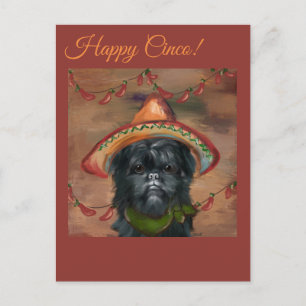 Affenpinscher Postcard