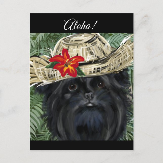 Affenpinscher    postcard (Front)