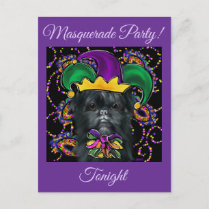 Affenpinscher Postcard