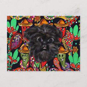 Affenpinscher  postcard