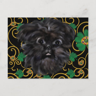 Affenpinscher Postcard