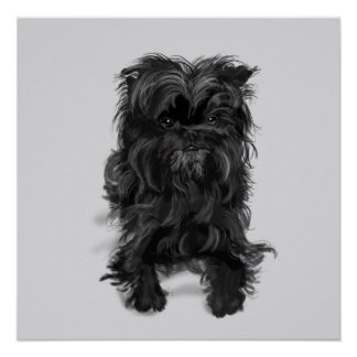 Affenpinscher Poster