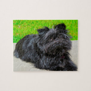 Affenpinscher Purebred Dog. Jigsaw Puzzle