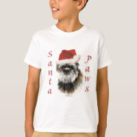 Affenpinscher Santa Paws
