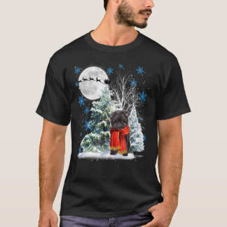 Affenpinscher Under Moonlight Snow Christmas Pajam T-Shirt