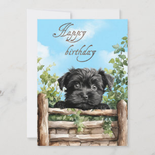 Affenpinscher Watercolor Dog Peeking Over Fence Holiday Card