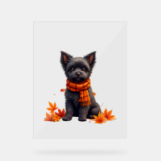 Affenpinscher With Heart Made Of Autumn Leaves Acrylic Sign