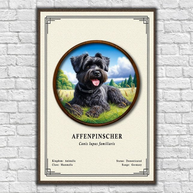 Affenpinscher Zoology Series Poster (Creator Uploaded)
