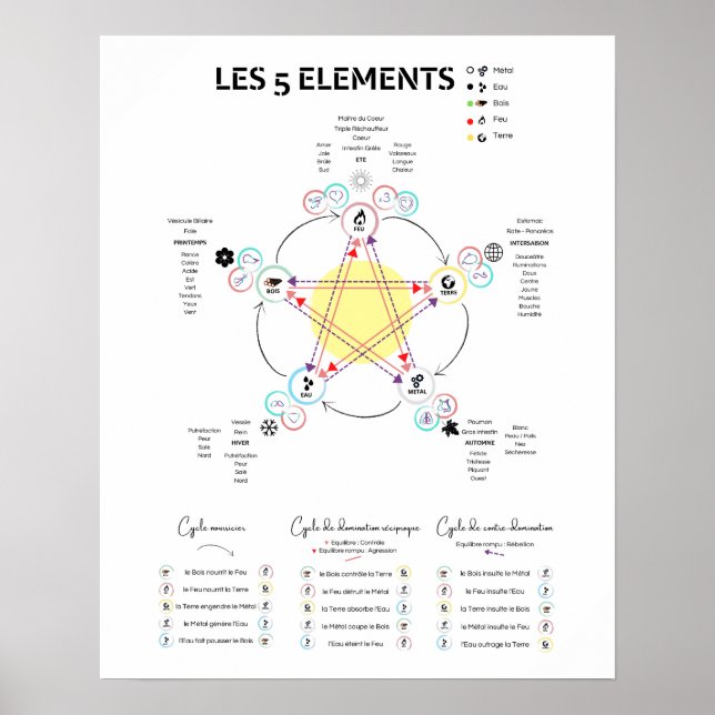 Affiche 5 éléments Médecine Chinoise Poster (Front)
