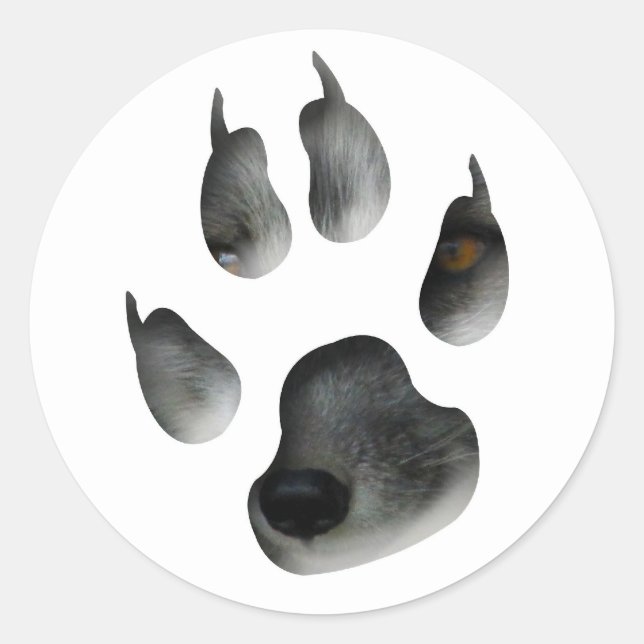 AFG Arctic Fox Glimpse Classic Round Sticker (Front)