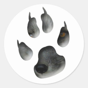 AFG Arctic Fox Glimpse Classic Round Sticker