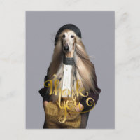 Afghan dog blond hair in trousers Thank You