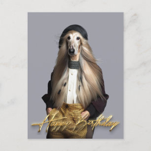 Afghan dog blonde hair in trousers Happy birthday Postcard