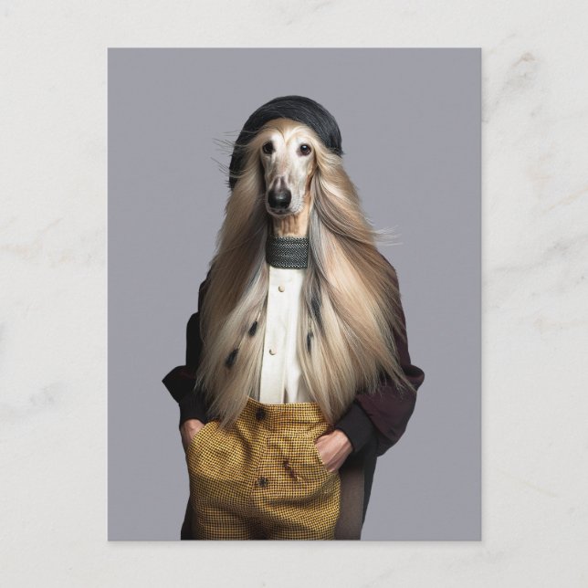 Afghan dog blonde hair in trousers postcard (Front)