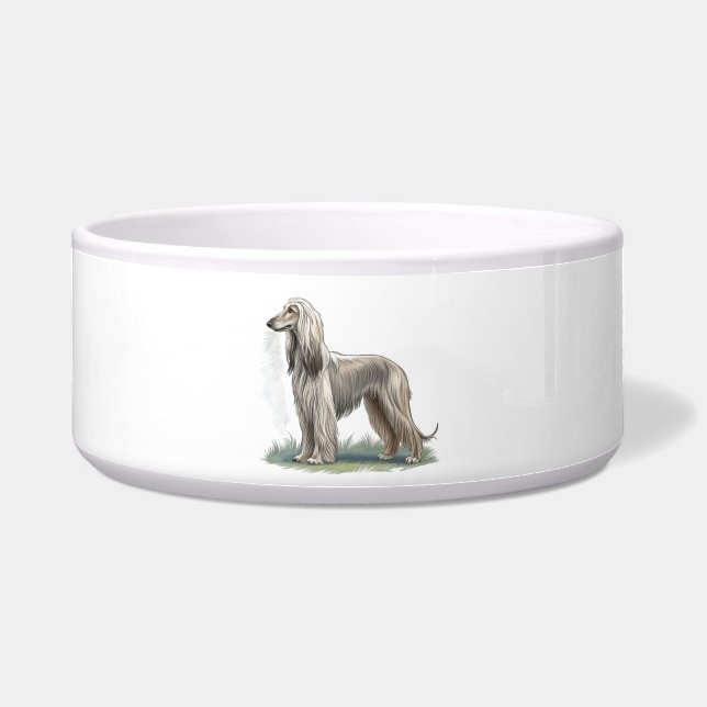 Afghan Hound (Front)