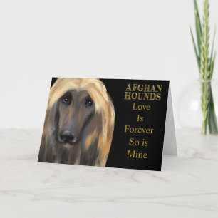 AFGHAN HOUND CARD