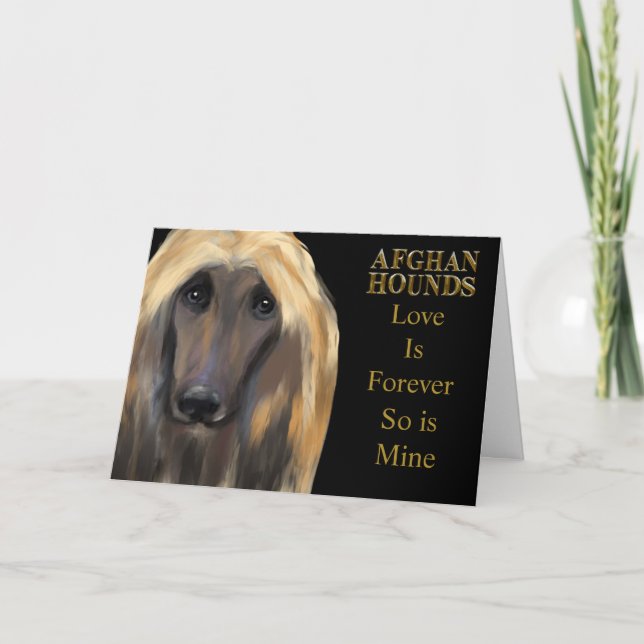 AFGHAN HOUND  CARD (Front)