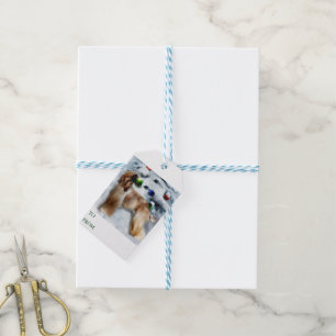 Afghan Hound Christmas Gift Tags