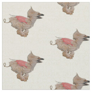 Afghan Hound Coursing Dog Ate Fabric