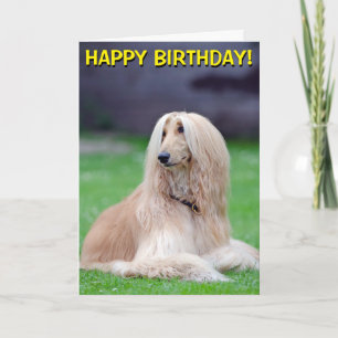 Afghan Hound customisable greetings card