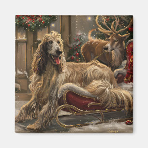 Afghan Hound Dog Christmas Festive Magnet